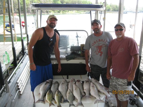 Nice Striped Bass
